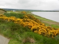 Scotland 2014 138