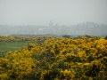 Scotland 2014 210
