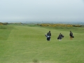 Scotland 2014 212
