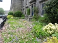 Scotland 2014 218